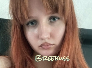 Breebuss