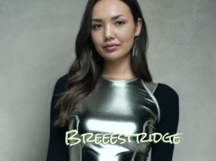 Breeestridge