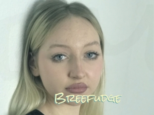 Breefudge