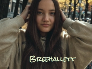 Breehallett