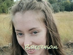 Breezysoul