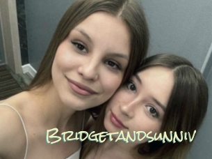 Bridgetandsunniv