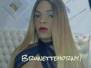 Brunettehorny1