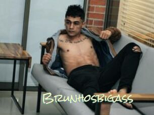 Brunhosbigass