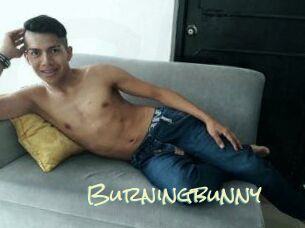 Burningbunny