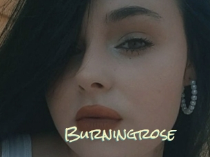 Burningrose