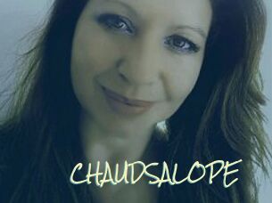 CHAUDSALOPE