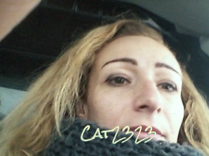 Cat2323