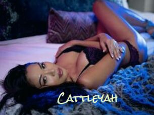 Cattleyah Porn Monkey Cash