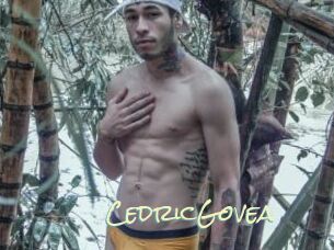 CedricGovea