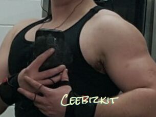 Ceebizkit