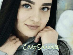 ChatSauvage