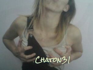 Chaton31
