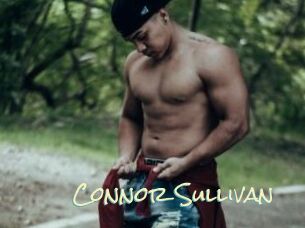 Connor_Sullivan Porn Monkey Cash