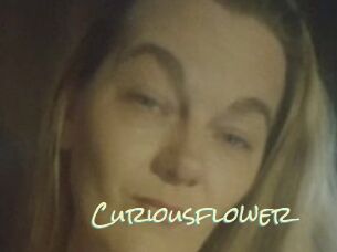 Curiousflower