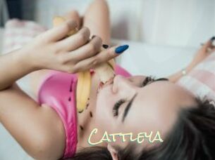 _Cattleya