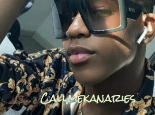 callmekanaries Porn Monkey Cash