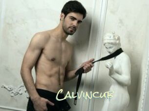 Calvincub