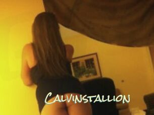Calvinstallion