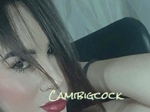 Camibigcock