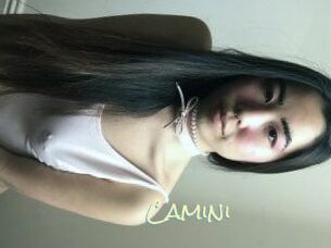 Camini