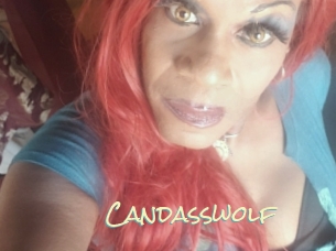 candasswolf Porn Monkey Cash