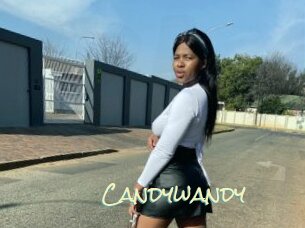 candywandy Porn Monkey Cash