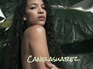 Canelasuarez
