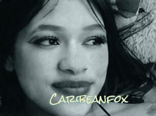 Caribeanfox