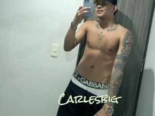 carlesbig Porn Monkey Cash