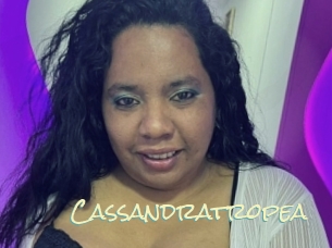 Cassandratropea