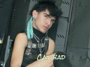 Cat_bad
