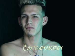 cattleyanrey Porn Monkey Cash