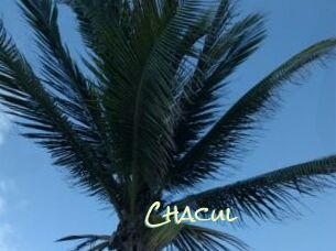 Chacul
