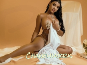 chanelharris Porn Monkey Cash