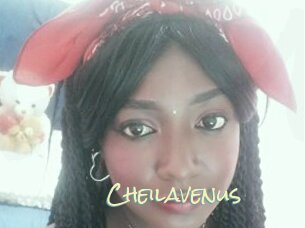 Cheilavenus