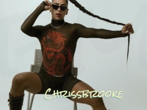 chrissbrooke Porn Monkey Cash