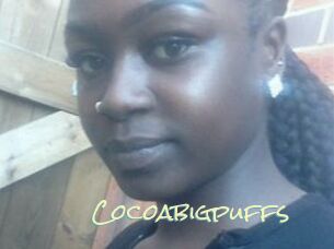 Cocoabigpuffs