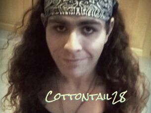 Cottontail28