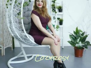 Cozyrosy