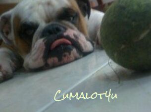 Cumalot4u