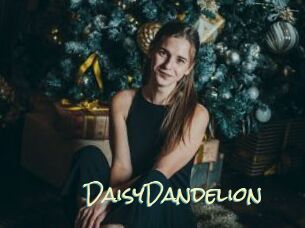 DaisyDandelion