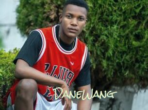 DaneWang