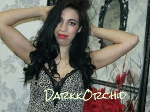 DarkkOrchid