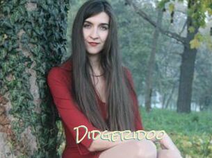Didgeridoo