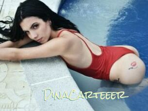 DinaCarteeer