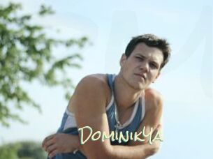 DominikYa