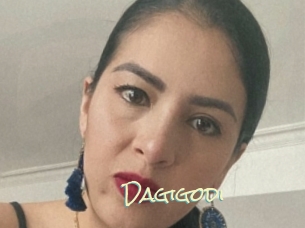 Dagigodi