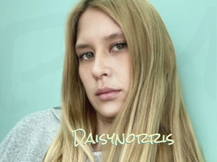 Daisynorris