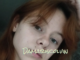 Damariscolvin
